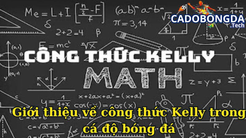 Giới thiệu về công thức Kelly trong cá độ bóng đá