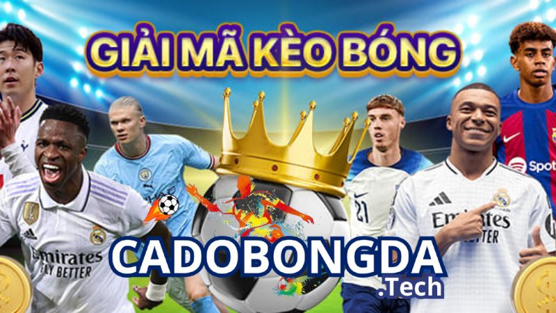 Tìm hiểu về giải mã kèo nhà cái