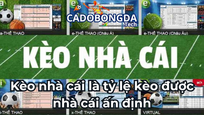 Kèo nhà cái là tỷ lệ kèo được nhà cái ấn định