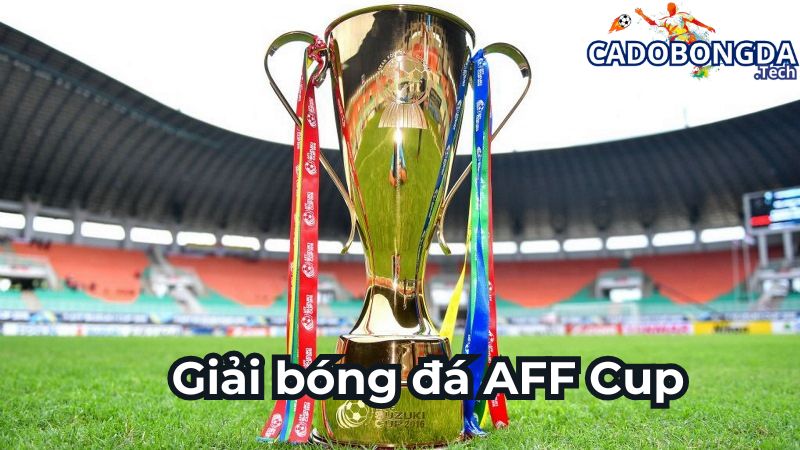 Đôi nét AFF cup hiện nay