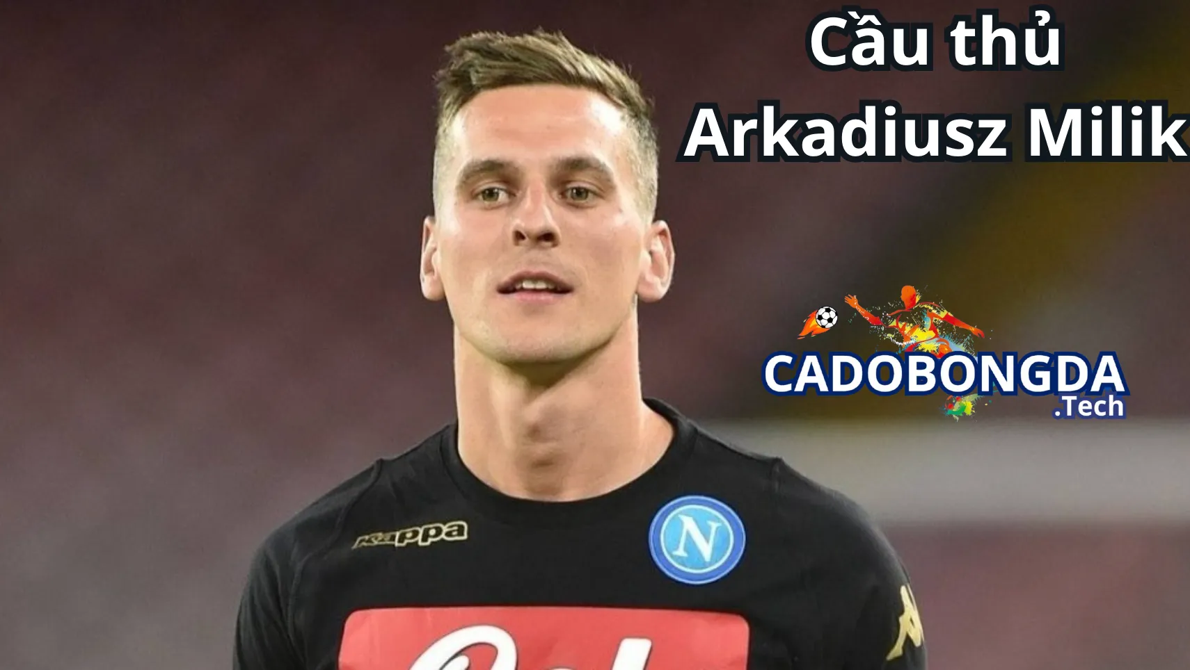 Tiểu sử của Arkadiusz Milik