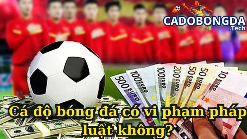 Cá độ bóng đá có vi phạm pháp luật không?