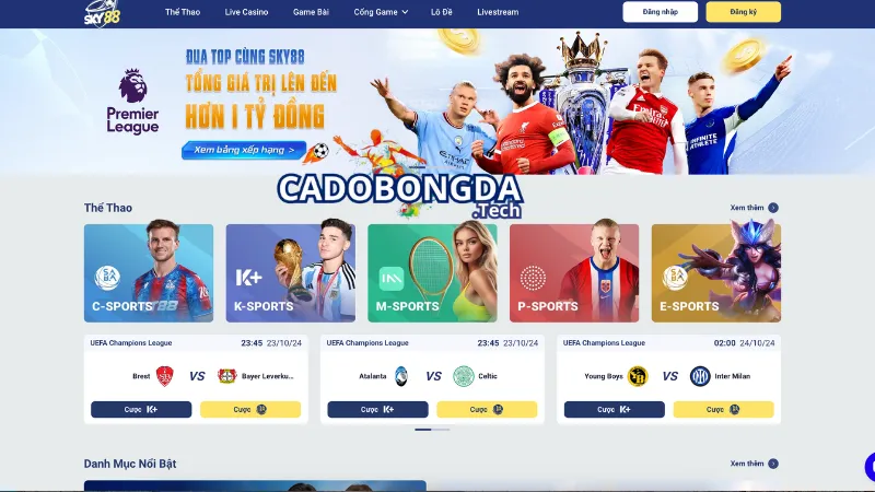 Giới thiệu chung về nhà cái SKY88