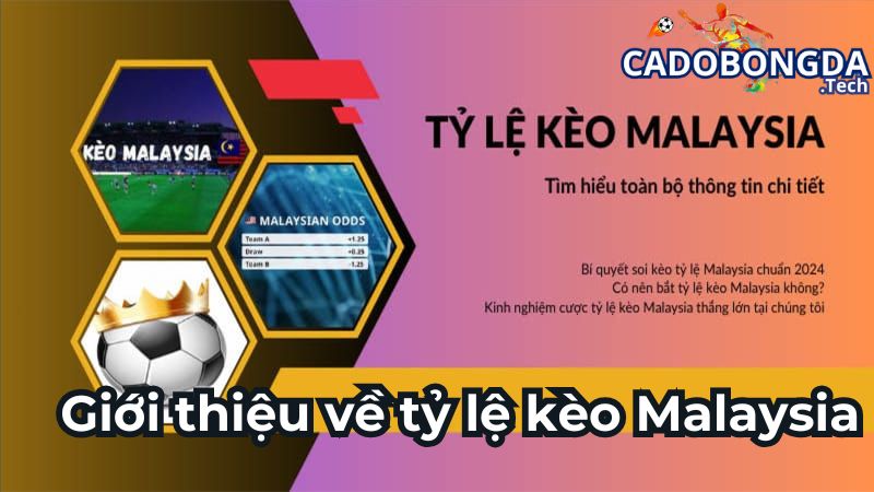 Đôi nét về tỷ lệ kèo Malaysia