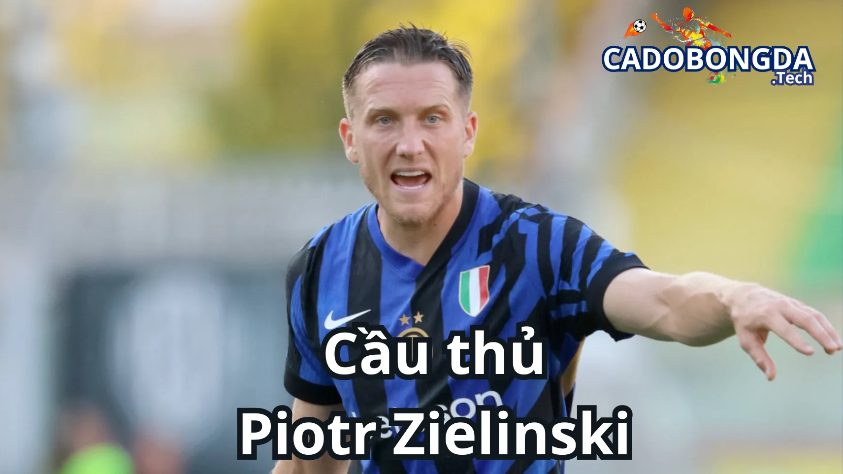 Đôi nét về Piotr Zielinski
