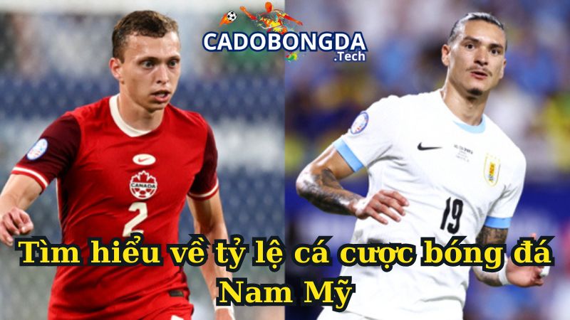 Tìm hiểu về tỷ lệ cá cược bóng đá Nam Mỹ