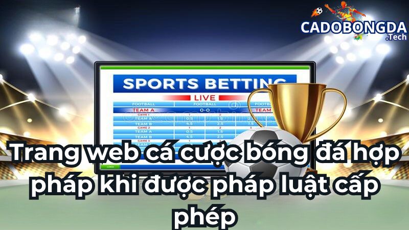 Trang web cá cược bóng đá hợp pháp khi được pháp luật cấp phép
